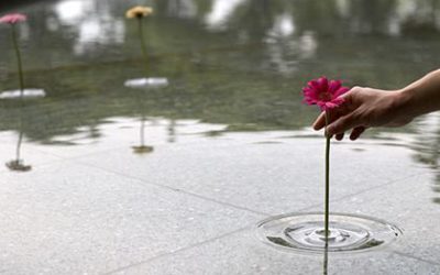 Awesome Products: Japanese floating vase looks like a ripple